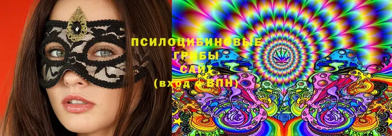 наркота  Алексеевка  Галлюциногенные грибы Magic Shrooms 